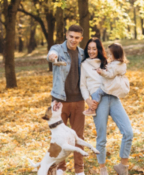 Understanding Universal Life Insurance