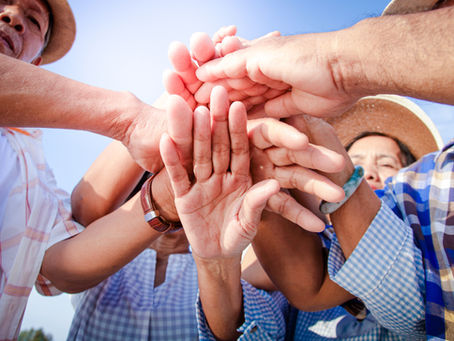 INTENZIONE DI PREGHIERA MENSILE: PER LA CONVIVENZA COMUNE.