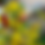 Thumbnail: Tree and Large Flower Pots