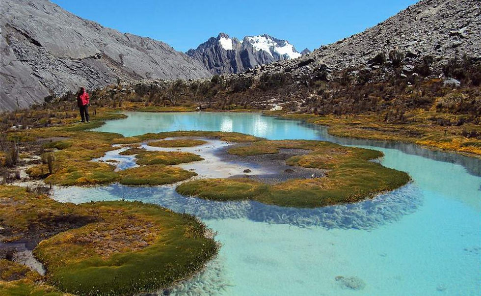 Miniatura: NEVADO DEL COCUY