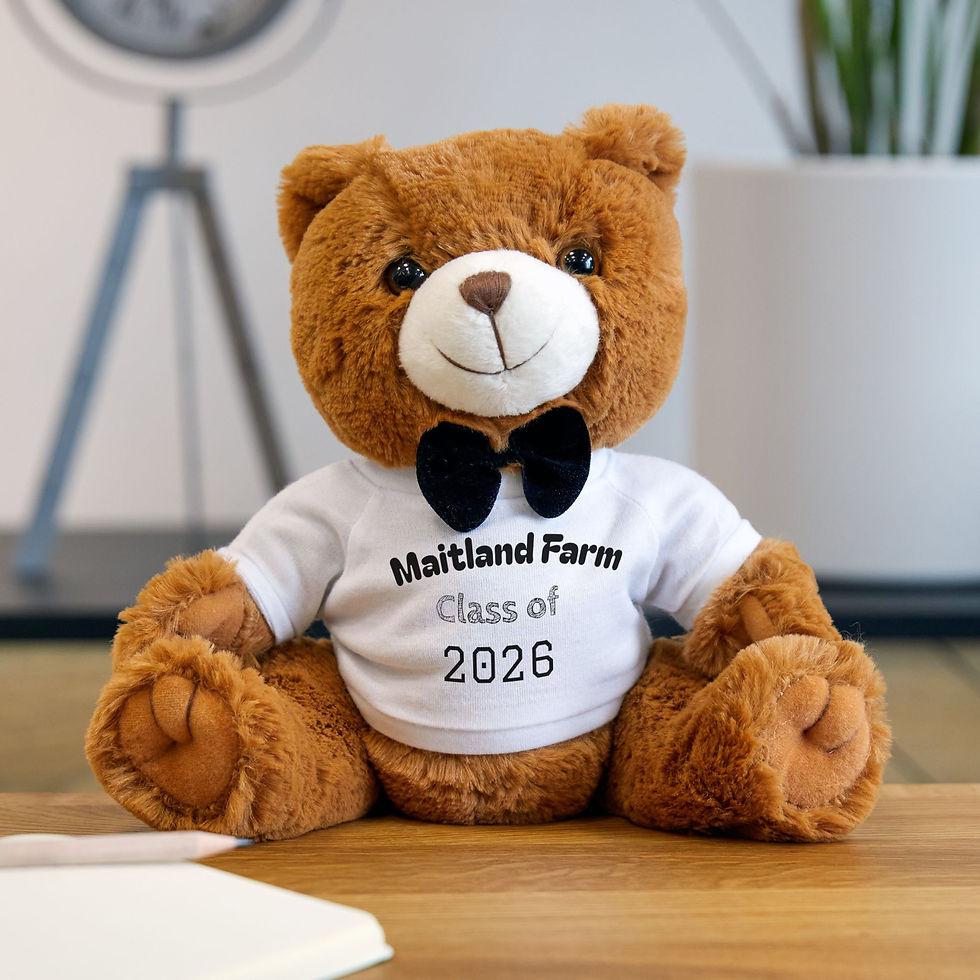 Thumbnail: 2026 Graduation Teddy