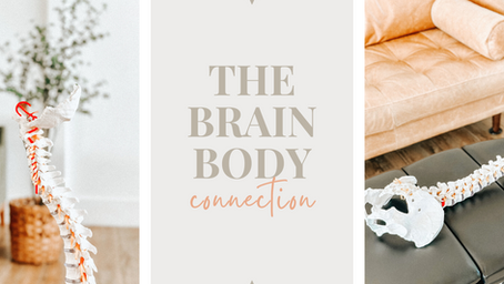Understanding the Brain-Body Connection: How Chiropractic Care Supports Holistic Health