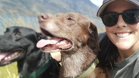 Discover Health Edit: Your Premier Queenstown Chiropractor for Holistic Wellness