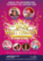 Middlesbrough Theatre 2018 panto