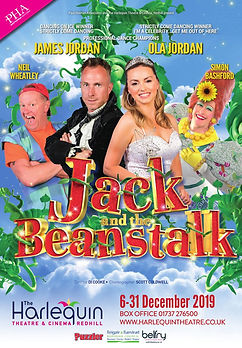 Harlequin Redhill 2019 pantomime.jpg