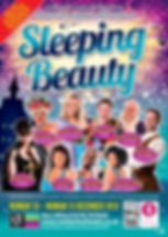 Camberley Theatre 2018 pantomime