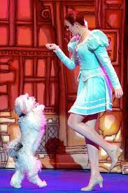 Bristol Hippodrome panto 2014