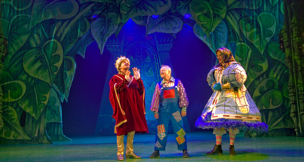 Wyvern Theatre panto 2013