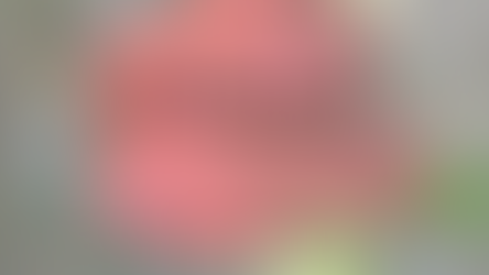 ¡La primavera ha comenzado!