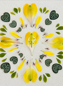 Heart Awakening through flower mandalas