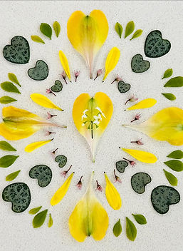 Heart Awakening through flower mandalas