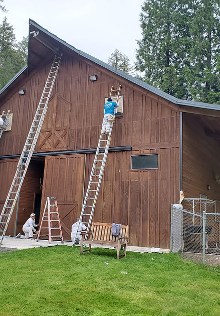 bothell wa Barn house ext res.jpg