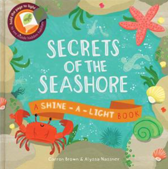 Secrets of the Seashore