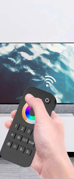 RT7 Remote