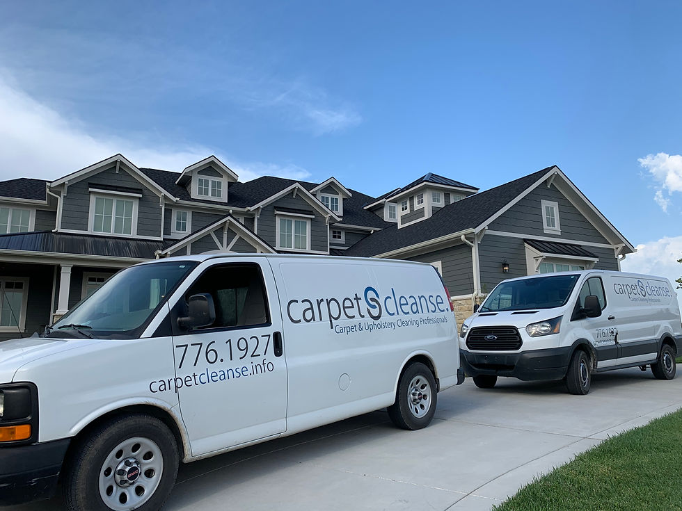 Carpet Cleanse Carpet Cleaning Manhattan, KS Carpet Cleaner