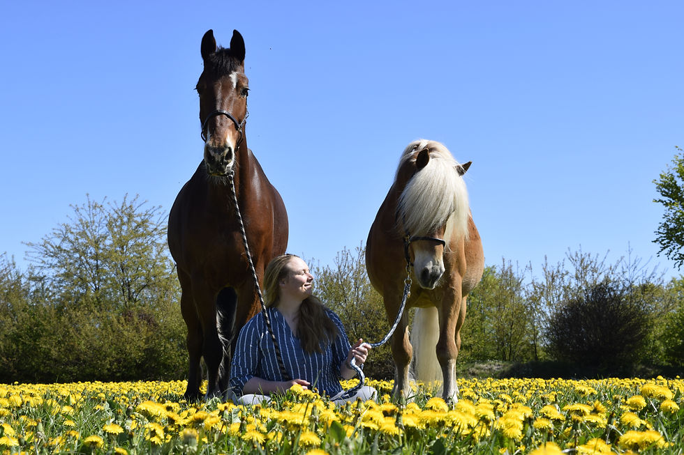 Lena mit zwei Pferden auf einer blühenden Wiese.