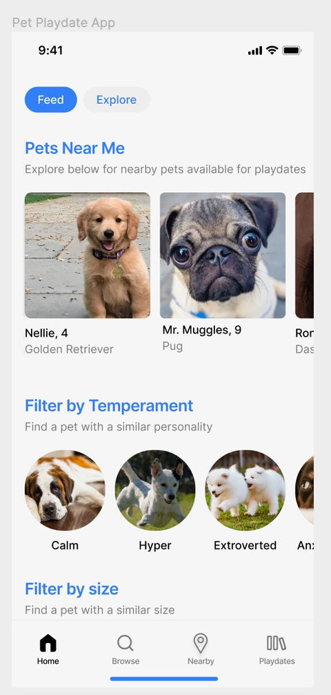 UX / UI Design