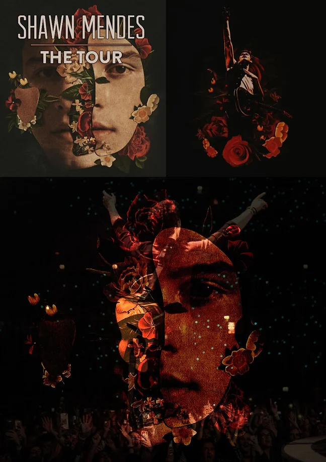 Shawn Mendes The Tour