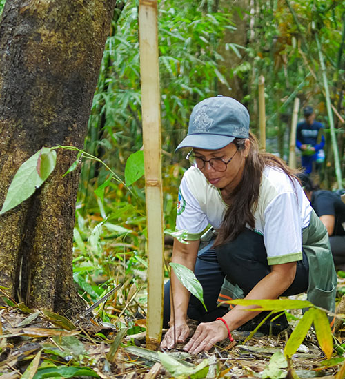 Aug 6 - Maynilad targets 180,000 trees in 2025 to protect vital watersheds