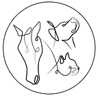Centre Yatta : Lang Célia, ostéopathie animale, kinésiologie animale et accompagnement du bien-être des chiens, chats et chev