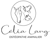 Centre Yatta : Lang Célia, ostéopathie animale, kinésiologie animale et accompagnement du bien-être des chiens, chats et chev