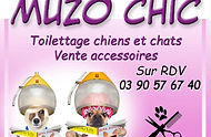 Centre Yatta : Lang Célia, ostéopathie animale, kinésiologie animale et accompagnement du bien-être des chiens, chats et chev