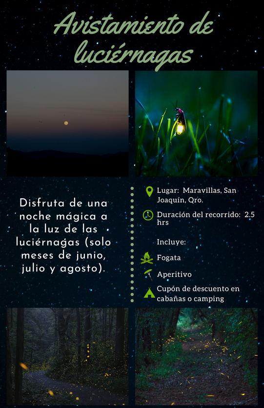 CATÁLOGO 2022-EL CARACOL (12).png