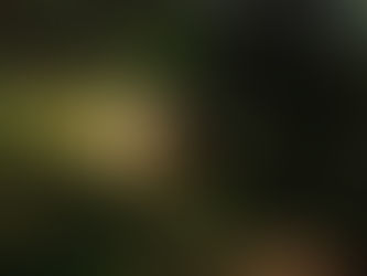 Las casas viejas de la sierra