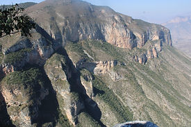 WhatsApp Image 2021-12-31 at 11.54.31 (1).jpeg