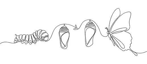 Metamorphose.png