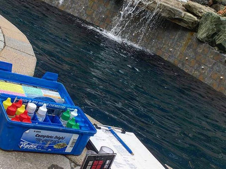 Weekly Pool Maintenance Guide and Common Questions Explained