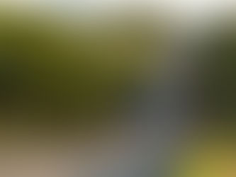 Entenda como funciona a transferência de propriedade de veículos de pessoas falecidas