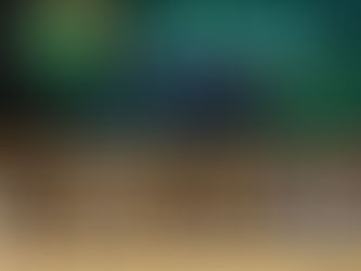 Governo do Tocantins destaca impactos da regularização fundiária na comercialização de créditos de carbono durante I Fórum Fundiário do Estado