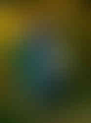 mom, dad and son posing for a family picture at Murrell Park wearing green and blue tones.