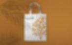 bait-bamoshava-bag.jpg