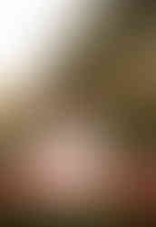 mother and her 2 daughters posing for portrait at texas tulips for jc photography and design a frisco family photographer