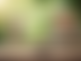 Simplicity Beats Complexity