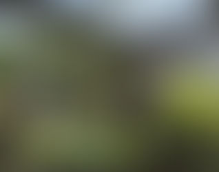 i'm an aspiring human.