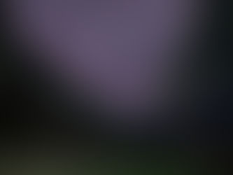 Called to a Royal Position