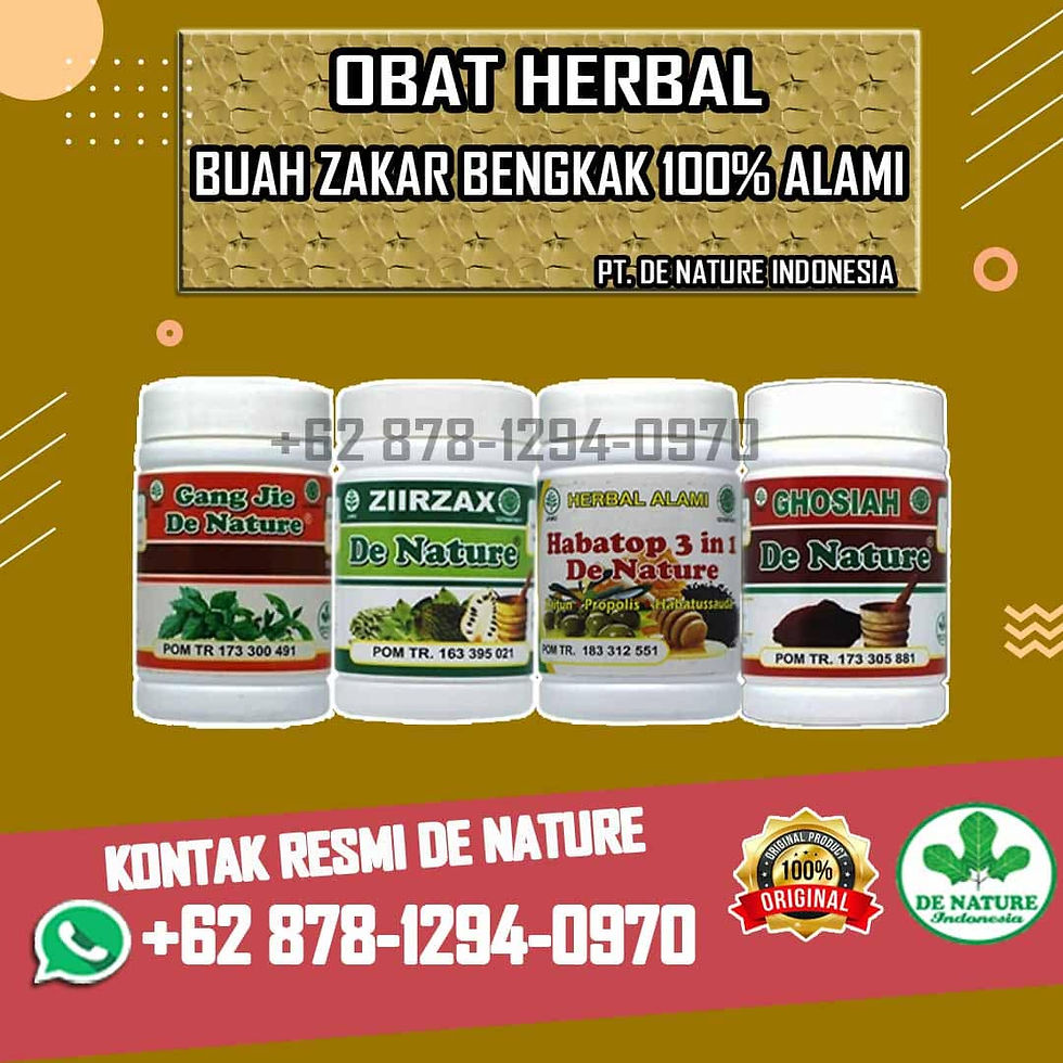 Inilah Penyebab Dan Obat Atasi Buah Zakar Bengkak Sebelah Kanan Paling Mujarab