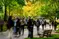 Crowd of students walking on a tree-lined path on Northeastern's campus, surrounded by vibrant green and yellow foliage. A bustling scene.