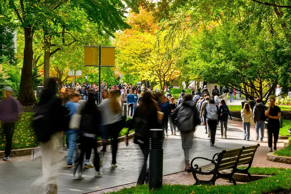 Crowd of students walking on a tree-lined path on Northeastern's campus, surrounded by vibrant green and yellow foliage. A bustling scene.