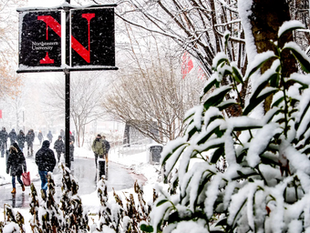 People walk in snow at Northeastern University. A red 'N' logo is prominent. Snowy trees and plants create a wintry atmosphere.