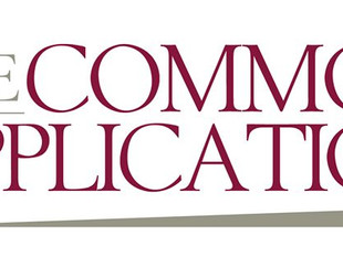 Topic-By-Topic Guide to Common App Essay