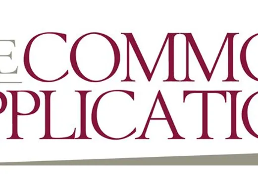 texas common application essay prompts 2009