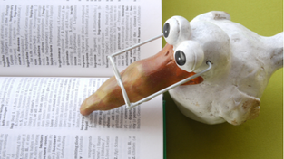 Best Ways to Study Vocab for ISEE and SSAT