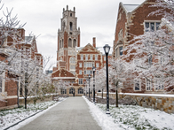 Snow-covered trees line a path leading to one of Yale's historic brick buildings with a tall tower. The scene is serene and wintry, with lampposts.