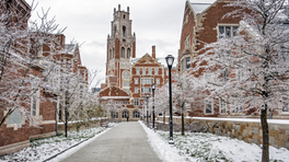 Snow-covered trees line a path leading to one of Yale's historic brick buildings with a tall tower. The scene is serene and wintry, with lampposts.