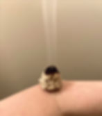 知熱灸