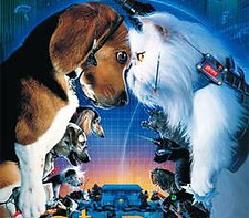 Cats_&_Dogs_film_edited.jpg